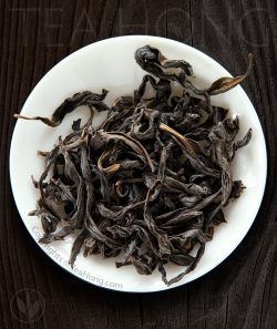 Red Cloak Grande 2016