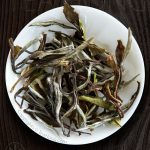 White Peony Zhenghe, traditional white tea
