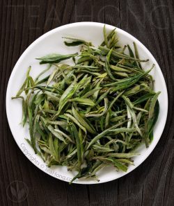 Huangshan Maofeng Spring Equinox