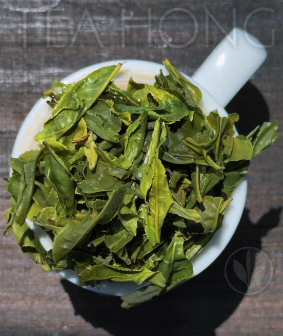 Luan Guapian infused leaves The various shades of green colours of the infused tealeaves of Tea Hong's Luan Guapian green tea