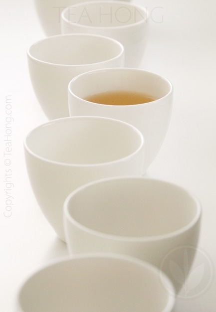 Magnolia Shooter x 2