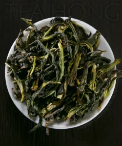 The varied colours and tones of the leaves of Tea Hong's Snow Orchid