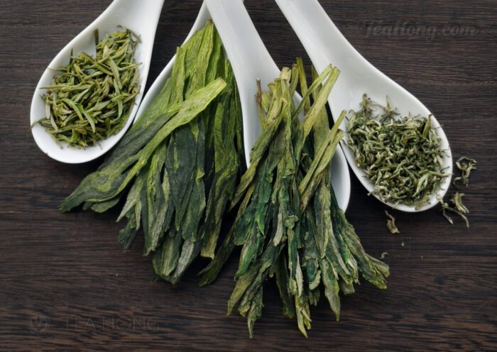 Comparing the appearance between 4 green teas: (left to right: a premium Huangshan Maofeng, a Taiping Houkui made with an auto press, Tea Hong's traditionally handmade supreme quality Taiping Houkui, and a genuine first flush Biluochun