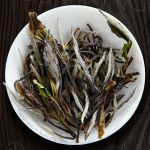 White Peony Classic Long, traditional white tea