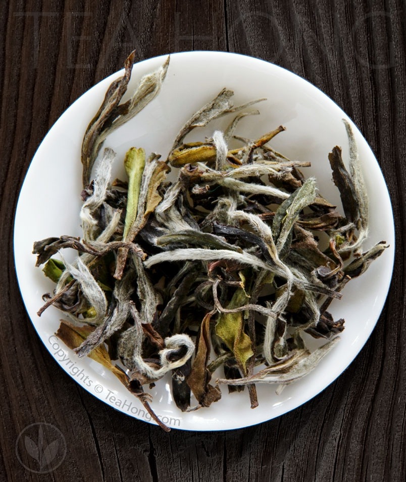 White Tea White Peony Fuding Tea HongTea Hong