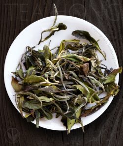 Organic white tea — Mini Peony