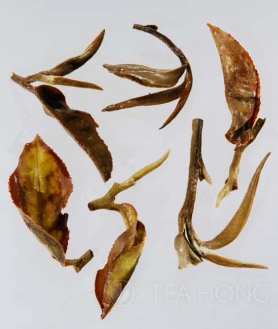 oriental beauty infused leaves re infused tealeaves of Oriental Beauty Mystic that show the evenly distributed area on each leaf where deeper oxidation has taken place, revealing tones of reddish brown colour, and the lesser oxidation parts in tones of yellow