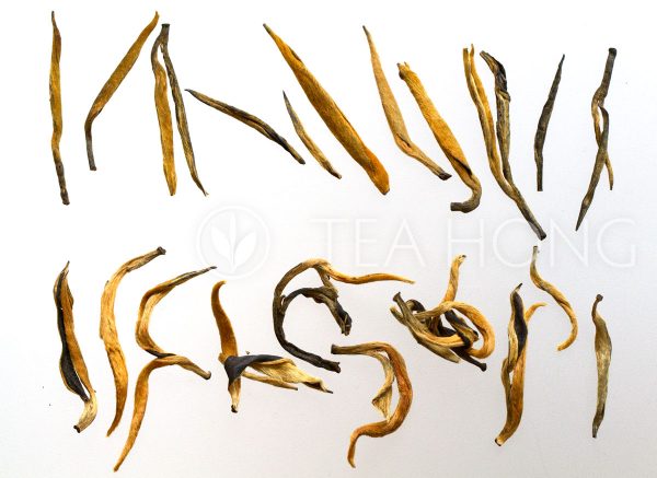 tealeaves of different varieties of Dianhong Gold Needle