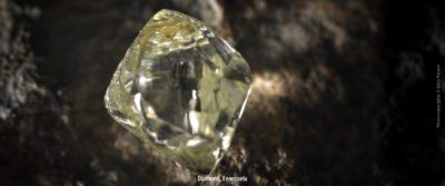 Teas are like raw gems: diamond