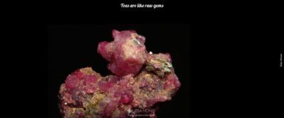 Teas are like raw gems — Ruby