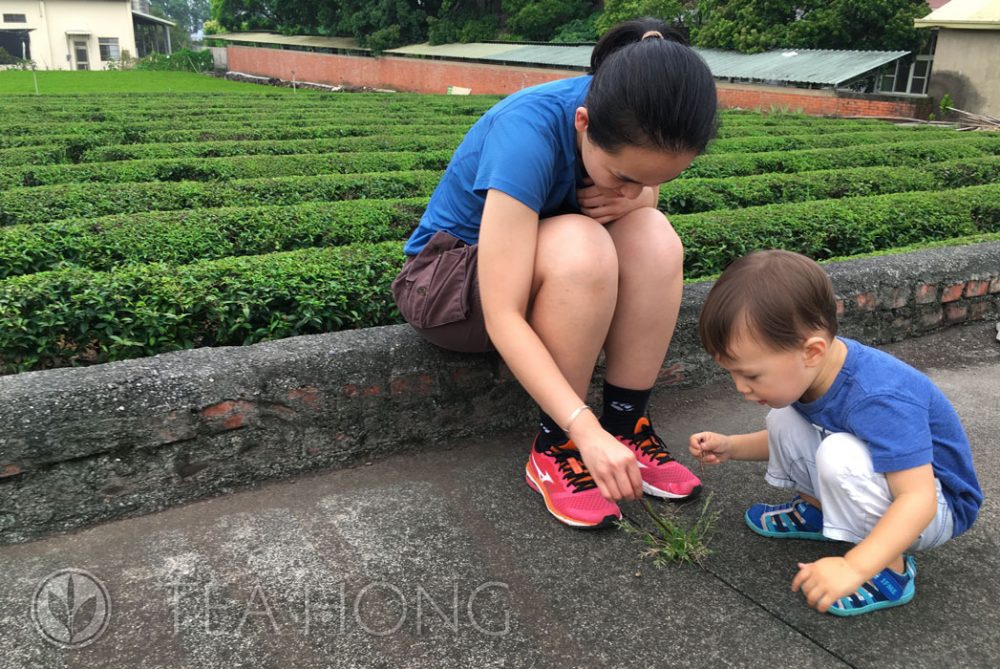 Playing with the farmer's boy on the side of a small Hong Yu tea garden