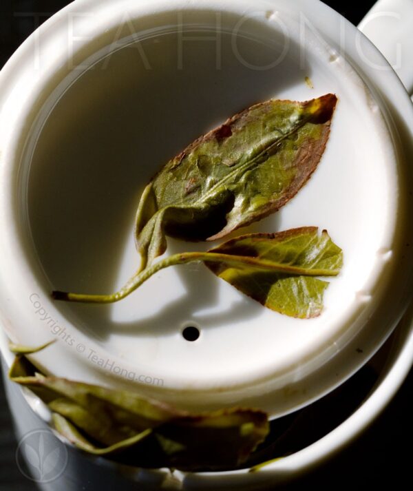 Infused leaves of Snow Orchid