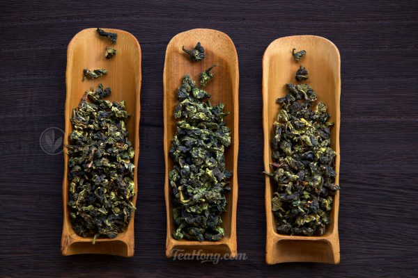 The leaves of three different Tieguanyins