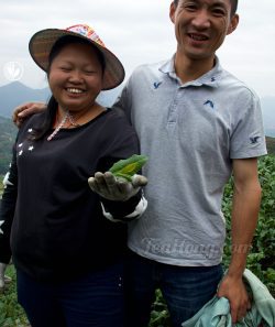 Minnan/ Mindong, Fujian