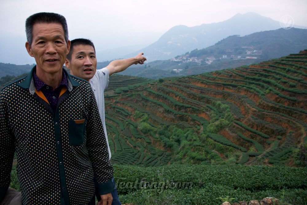 Young Master Wang pointing at Nanyan, the legendary seat of the origin of Tieguanyin
