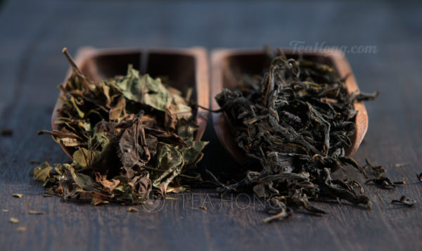 Comparing a lighter oxidation Hong Yu white tea with Deep White