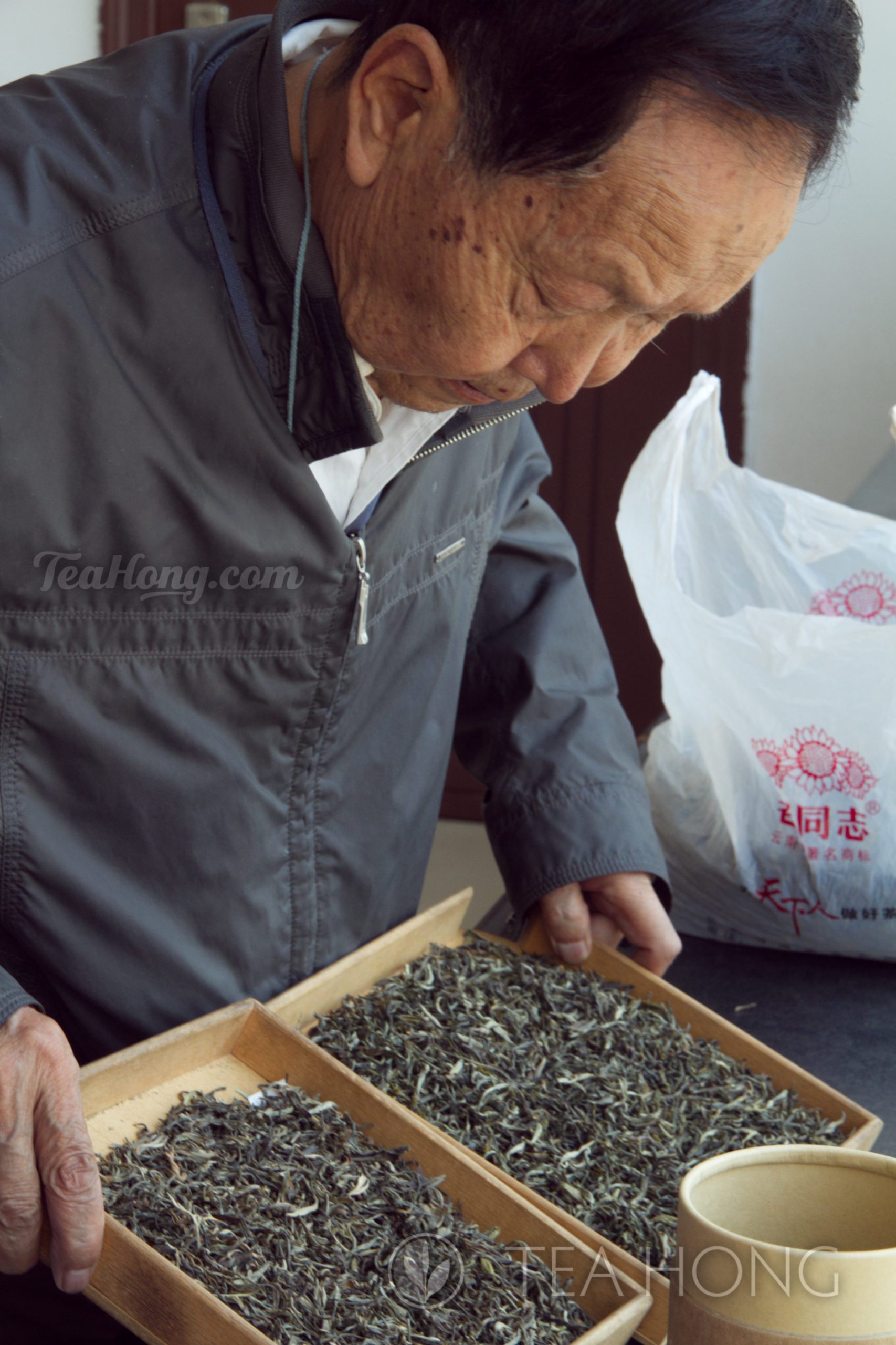 Master Zao studying samples of maocha