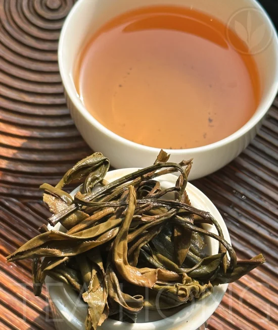 Moss Island 2018, shengcha Pu’er maocha, pu-erh