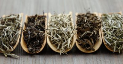 5 different white teas