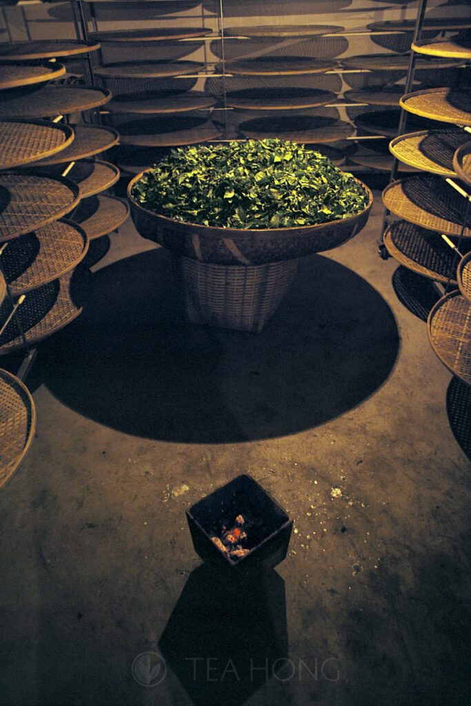 Charcoal warmer in the oxidation room during the last round of oxidation in Wuyi oolong production