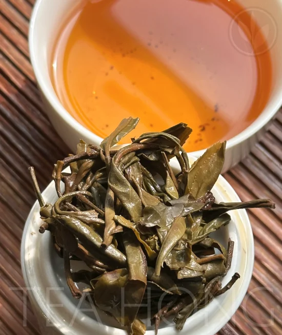 Pasha Old Tree maocha infusion Infusion colour and the infused leaves of Pasha Old Tree maocha