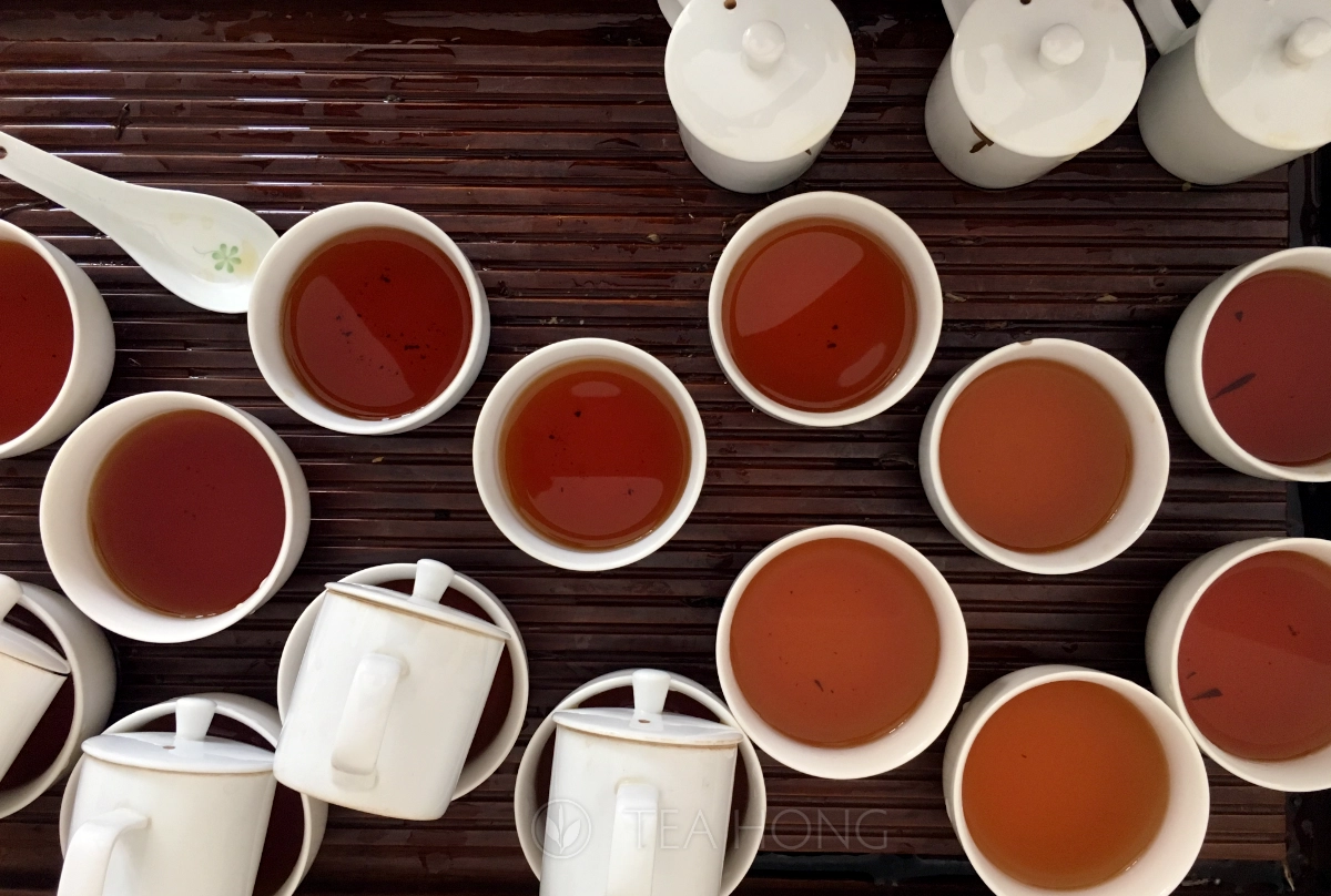 To lines of tea bowl holding similar tea for comparative tea tasting