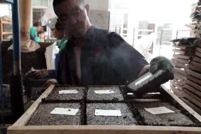 Man putting a freshly compressed pu'er tea brick on a tray