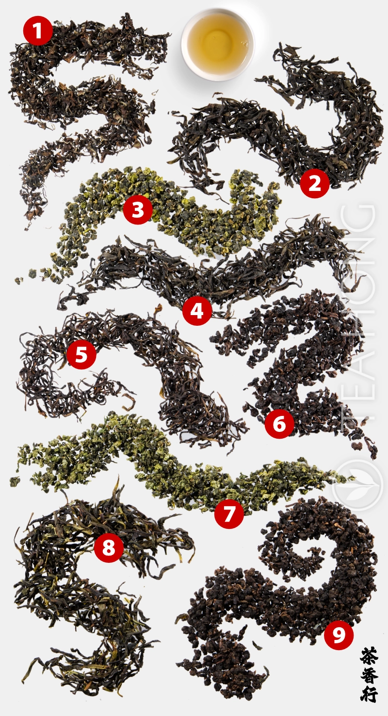 Nine oolong teas arranged as dragons around a teacup