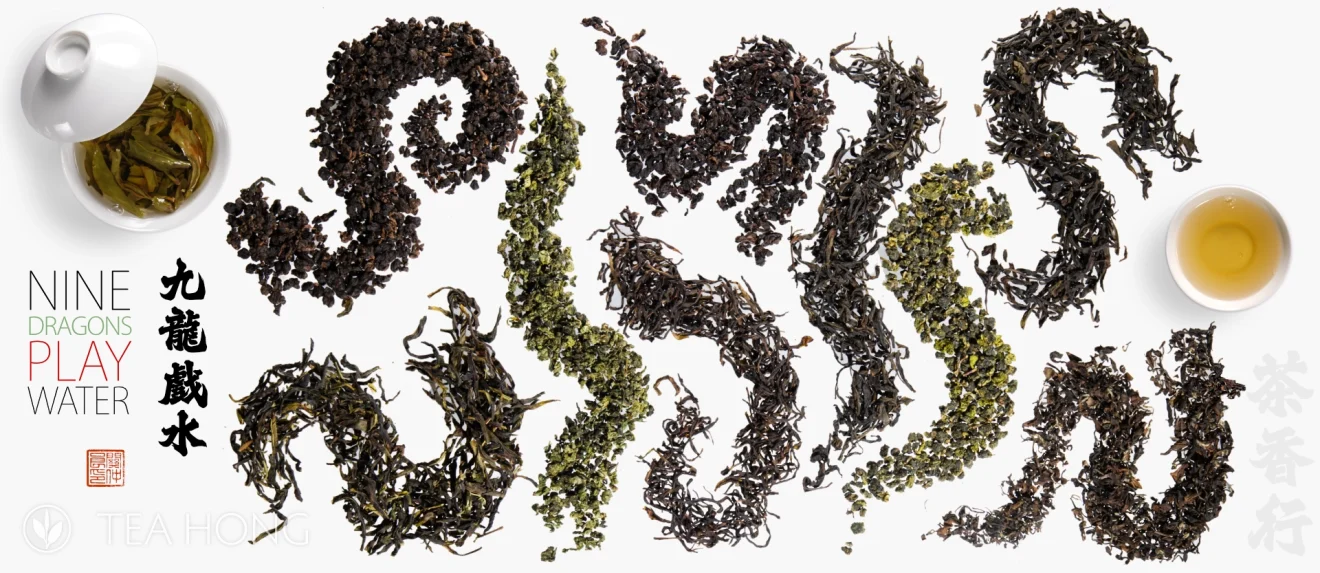 9 types of oolong teas each formed into a dragon, posed around a teacup and a tea gaiwan filled with tea.