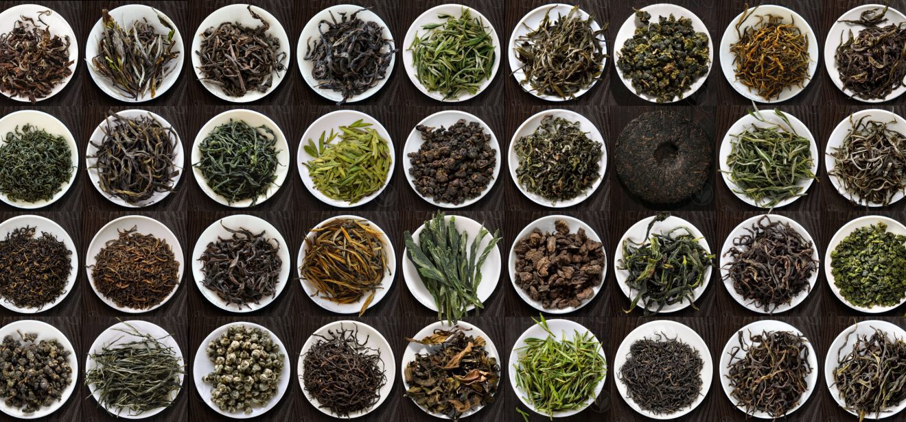 Rows and columns of various varieties of tealeaves in round white dishes of the same size