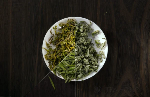 A montage of three different green teas into a single perfect circle shape