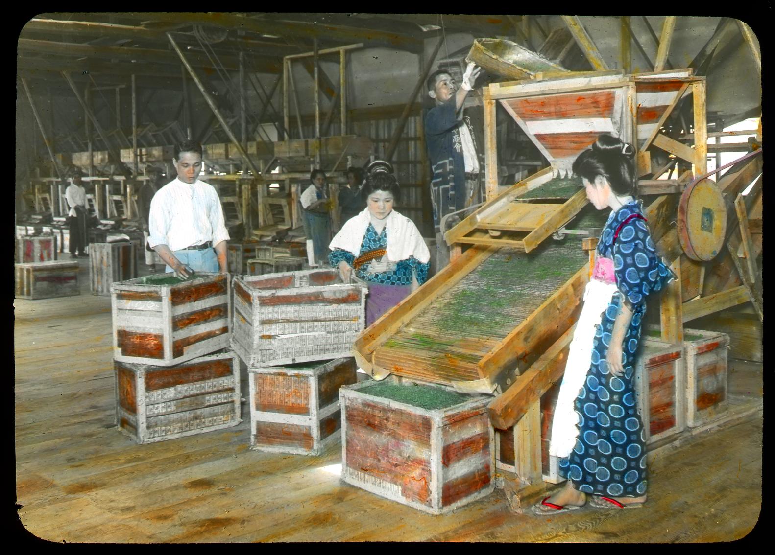 A mechanicalized tea processing plant, early 20th century, Shizuoka, Japan