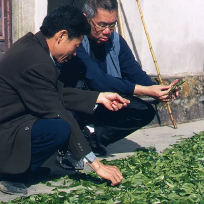 two men discussing over a thin layer of freshly picked tealeaves on the ground