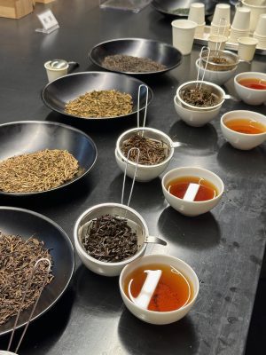 The dry leaves, infused leaves and infusion of a few different teas during a tasting session