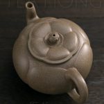 Qin Mu Yun: Plum Blossom, a homage to Shi Dabin