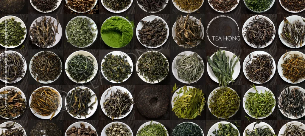 Different varieties of tealeaves each photographed on a same size small white dish, arranged uniformly in columns and rows