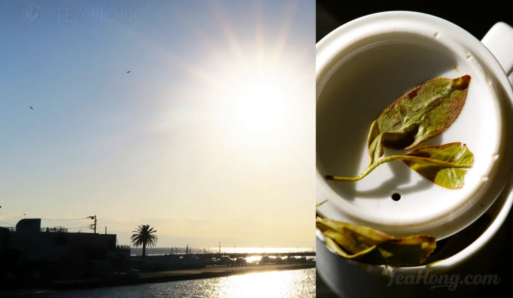 a montage with an photo of the bright sun in the sky over a seashore, with a photo of the infused leaf of Snow Orchid Phoenix Oolong