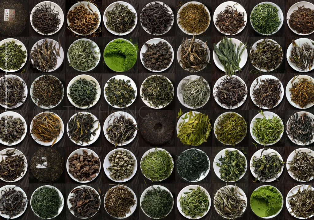 Rows and columns of same size small white round dishes each holding a kind of tealeaves that is different in colour, shape and size.