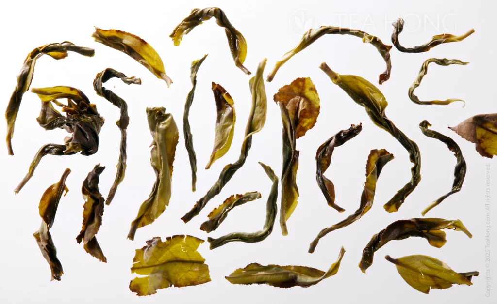 A variety of shapes and forms of the infused tealeaves of Old Bush Zhilan