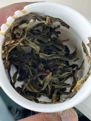 Infused tealeaves of Old Bush Zhilan in a taster's mug