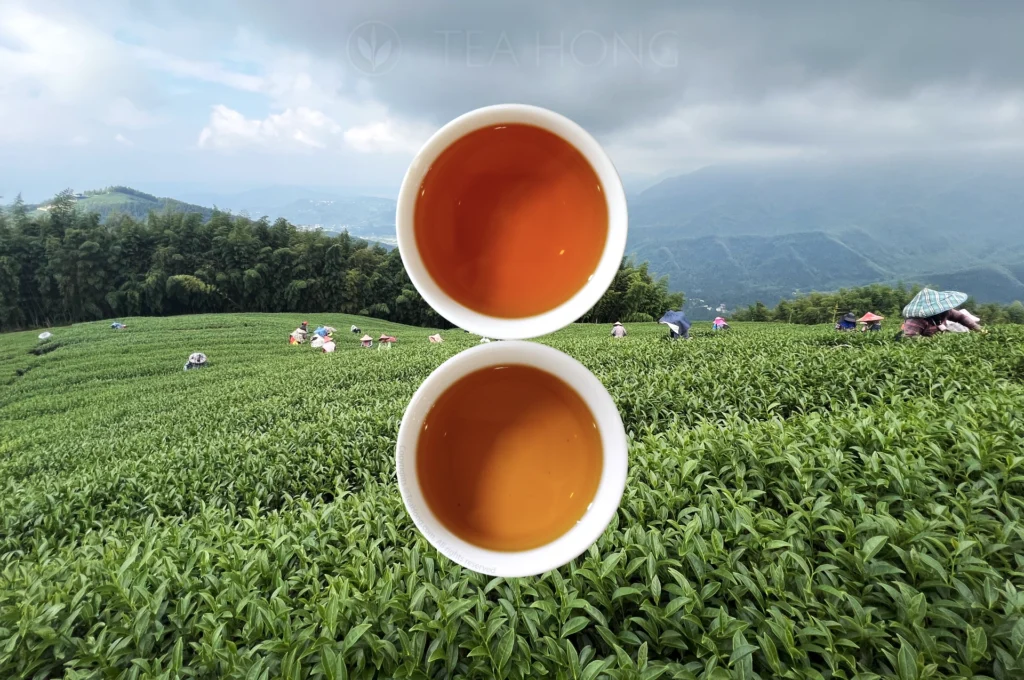 two cups of tea over a high altitude tea field where tea pickers are busy. A distance background of a green valley below