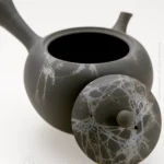 Tokuta Fujita: Seaweed Ball