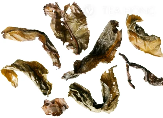 Muzha guanyin iinfused leaves 2 Closeup photo of a few infused leaves of Muzha Tieguanyin, revealing the different and gradual change of depth of oxidation in different parts of the leaves, as reflected in the relative greener centres and redder rims