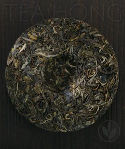 The unwrapped back side of the Inner Primeval Earth cha bing