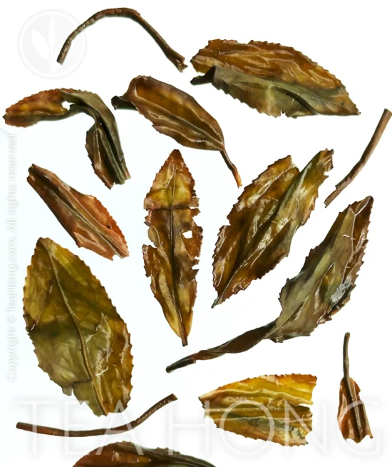 Yume Wakaba Wakocha infused leaves the infused leaves of Yume Wakaba black tea