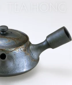 Tokuta Fujita: Mogake Glitters