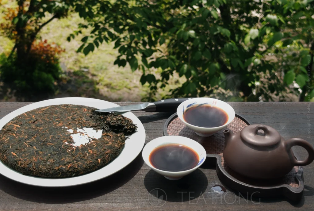 On a wooden tabletop overlooking a backyard with densely leaved trees, a compressed tea discus chipped open on a white dish, with a Yixing teapot and two cups of dark colour tea liquor, each with an intensely red meniscus as reflected under the sun. 