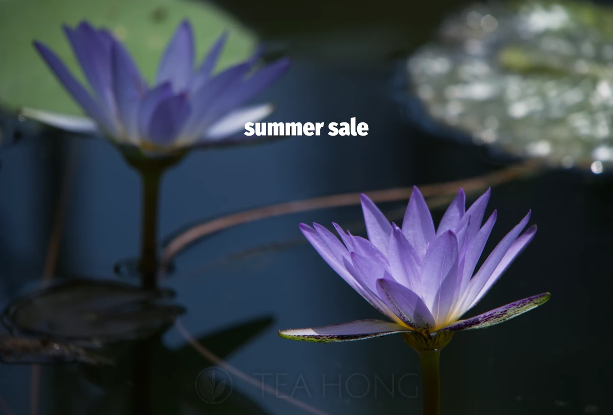 summer sale