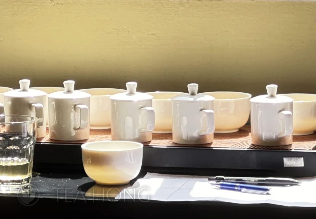 A few taster's mugs and tea bowls with tea on an infusion table under the sun