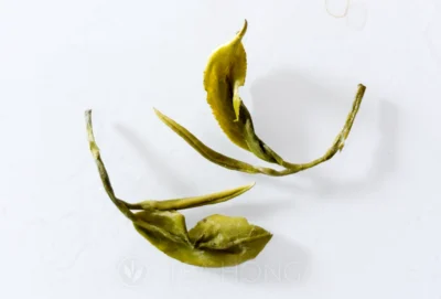 the leaves of Little Tangerine green tea after infusion